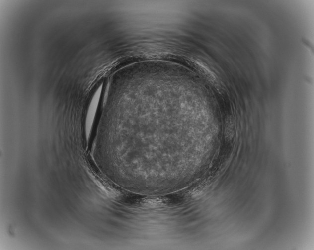 X0000096640405200802191224