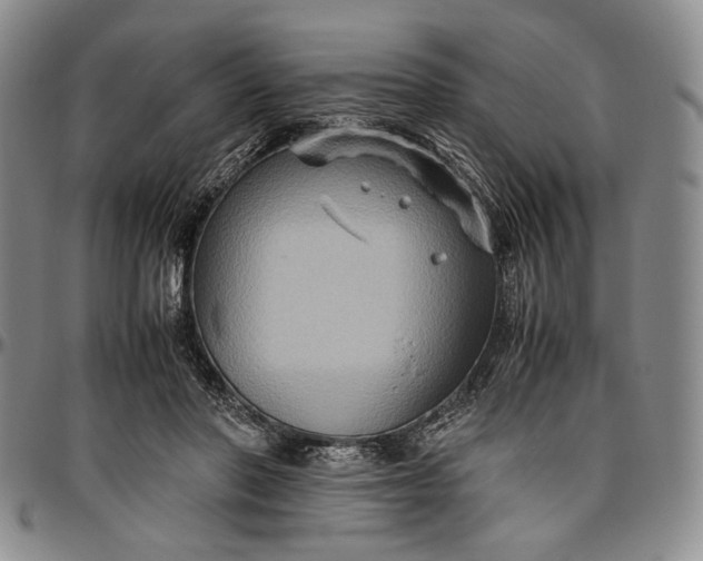 X0000096640406200802191224