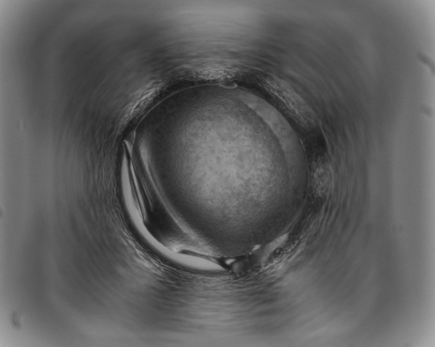 X0000096640407200802191224