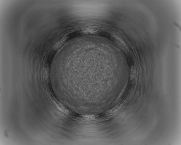 X0000096640409200802191224