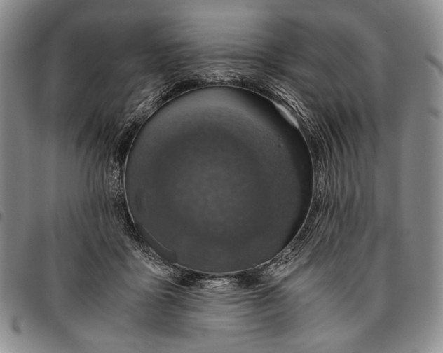 X0000096640411200802191224