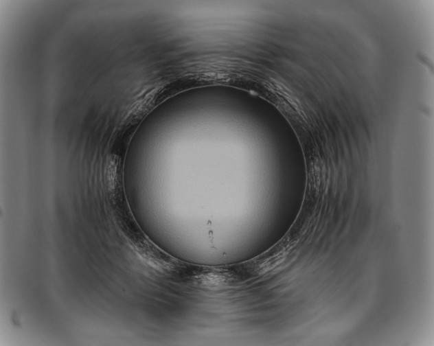 X0000096640412200802191224