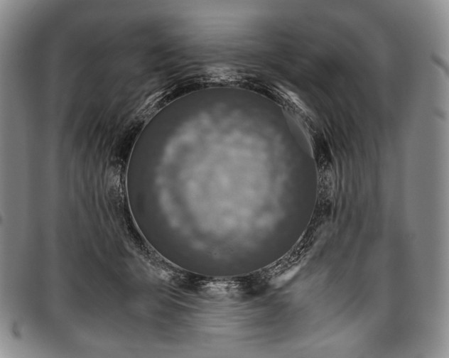 X0000096640415200802191224