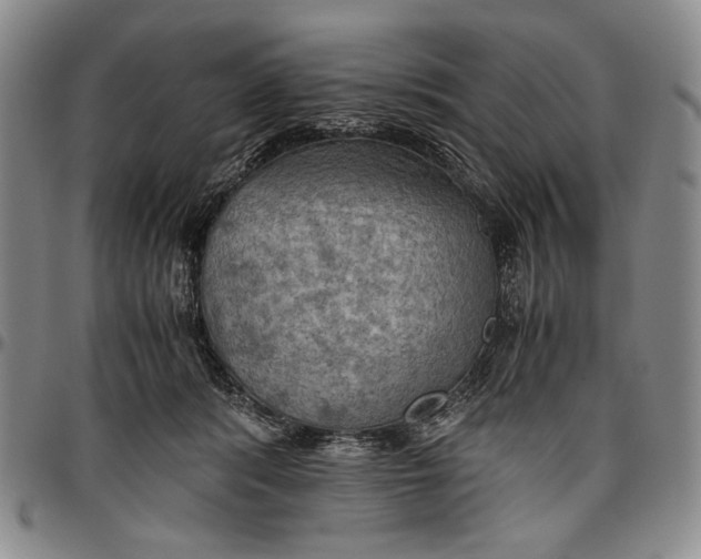 X0000096640416200802191224