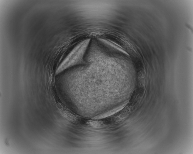 X0000096640417200802191224