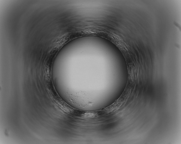 X0000096640418200802191224