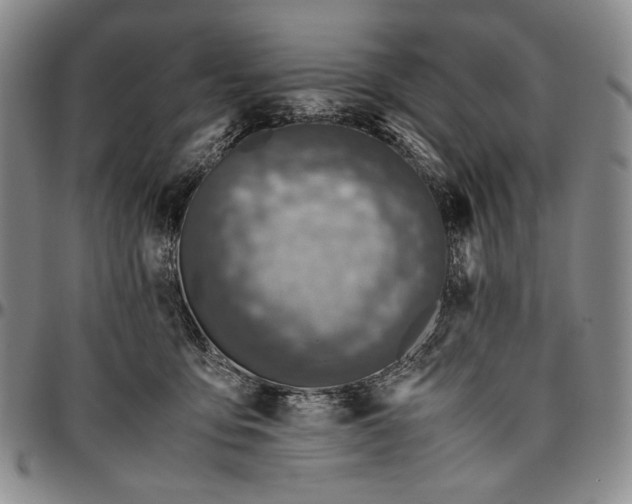 X0000096640419200802191224