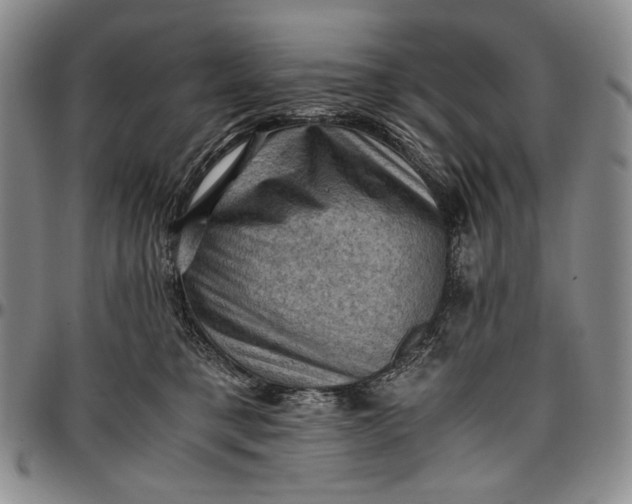 X0000096640421200802191224