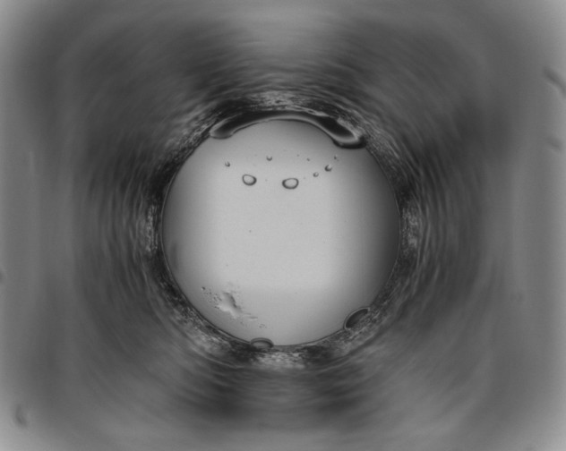 X0000096640422200802191224