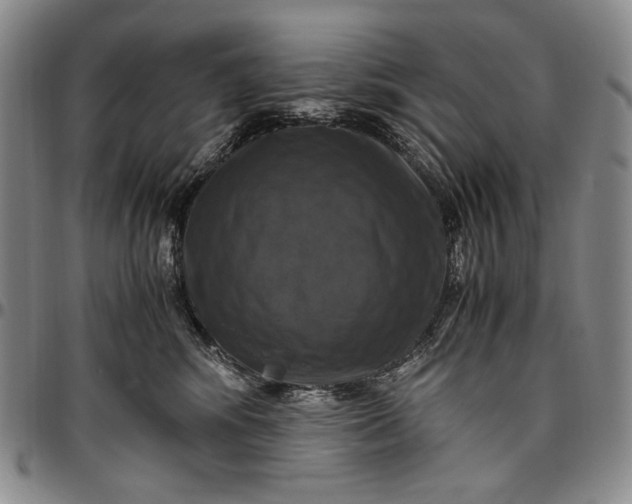 X0000096640424200802191224