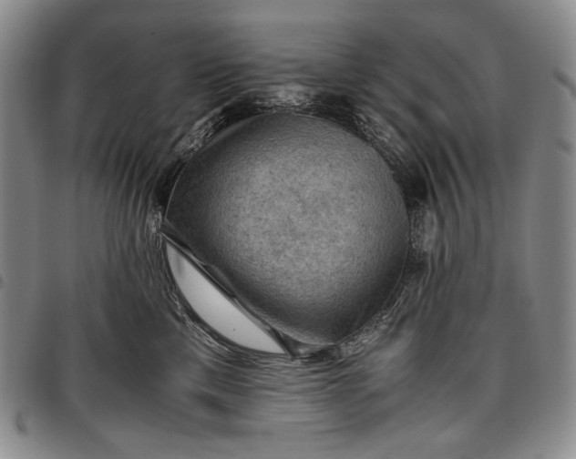 X0000096640425200802191224