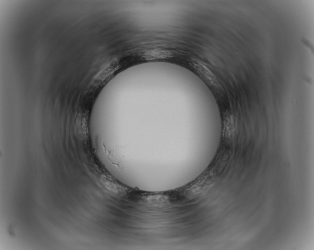 X0000096640426200802191224