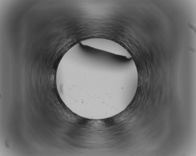 X0000096640427200802191224