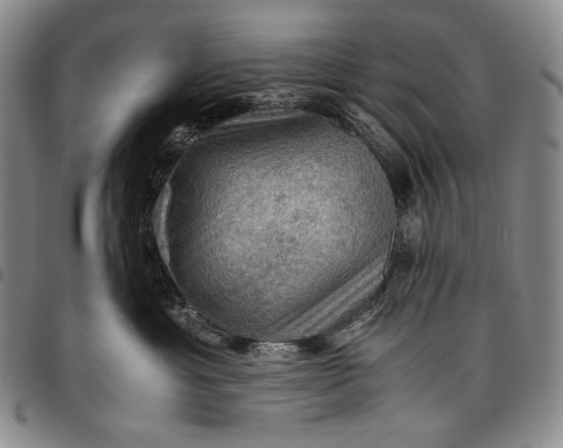 X0000096640429200802191224