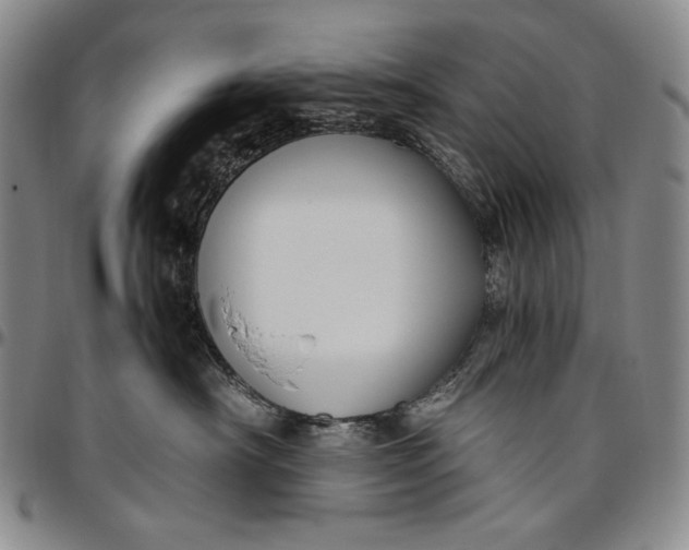 X0000096640430200802191224