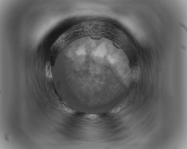 X0000096640431200802191224