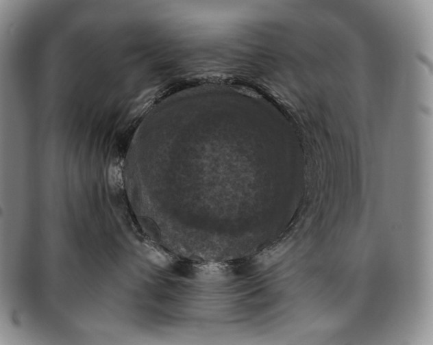 X0000096640432200802191224