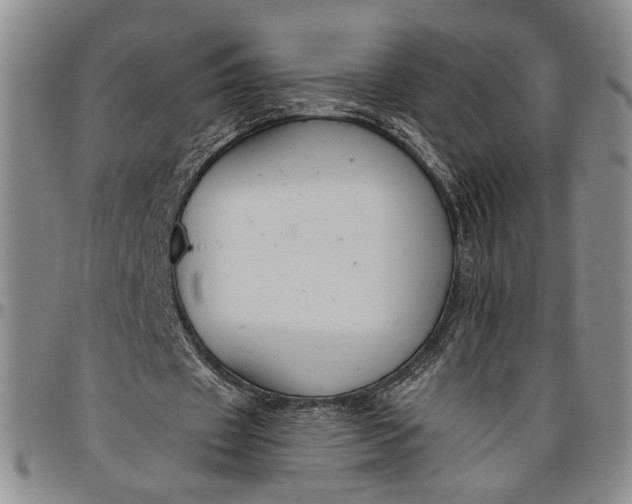 X0000096640433200802191223