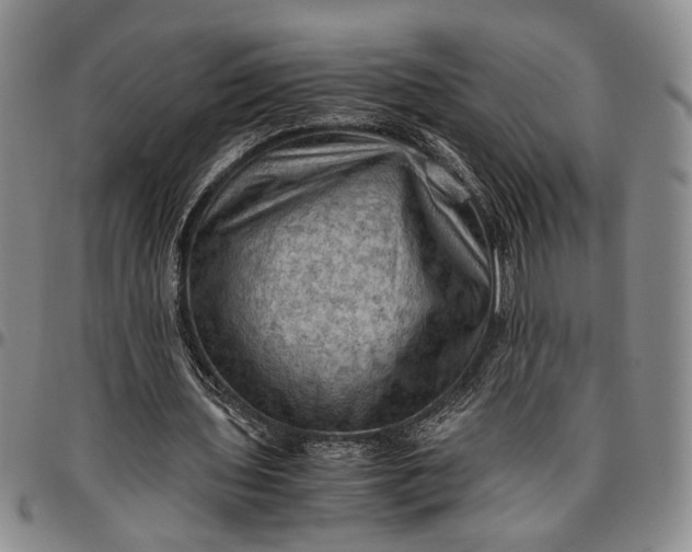 X0000096640435200802191223