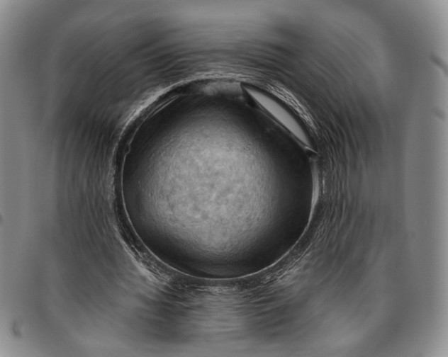 X0000096640436200802191223