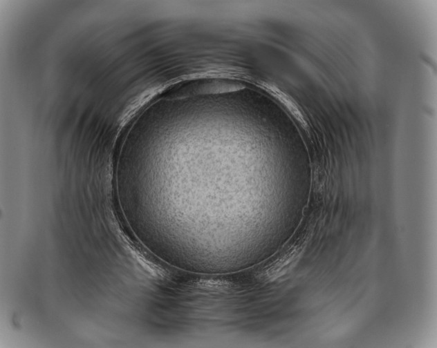 X0000096640437200802191223