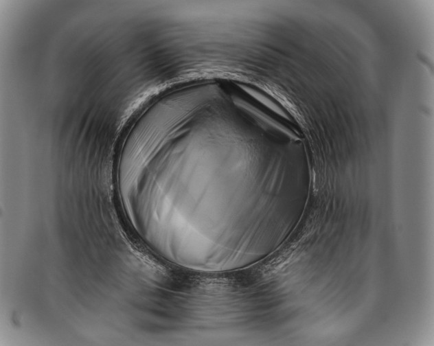 X0000096640438200802191223