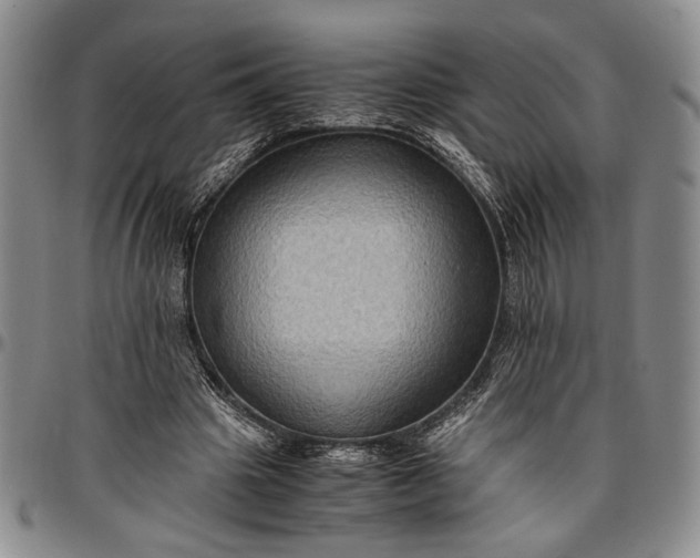 X0000096640441200802191223