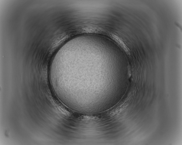 X0000096640442200802191223