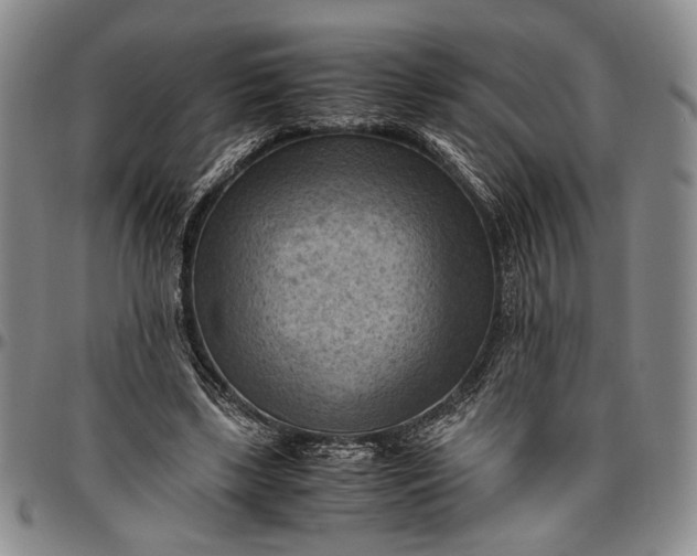 X0000096640443200802191223