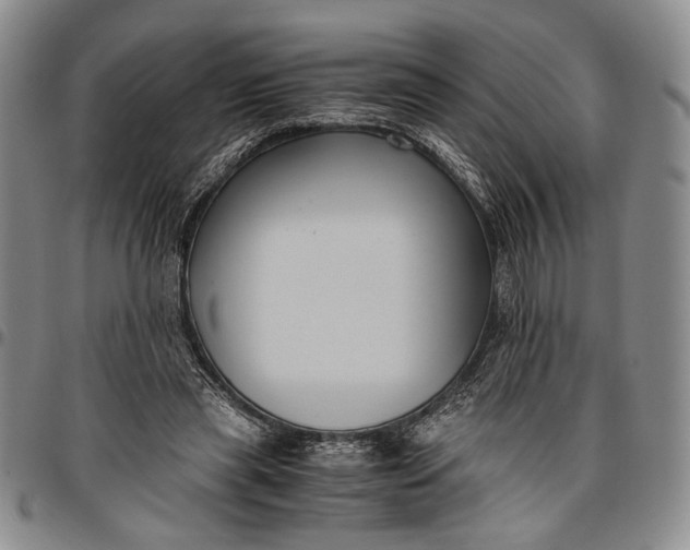 X0000096640445200802191223