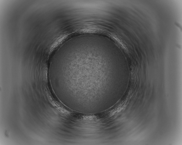 X0000096640446200802191223