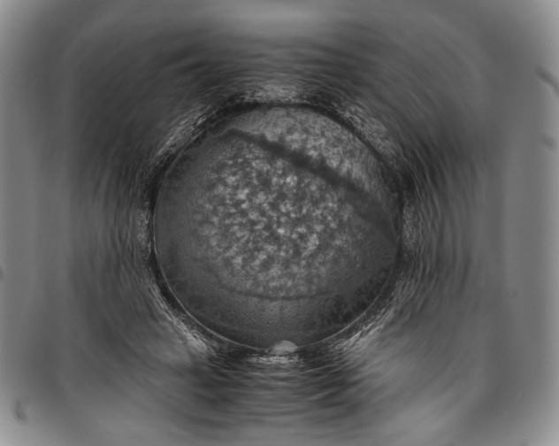 X0000096640449200802191223