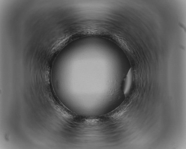 X0000096640450200802191223