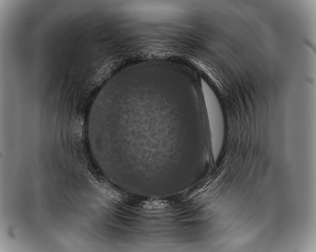 X0000096640451200802191223