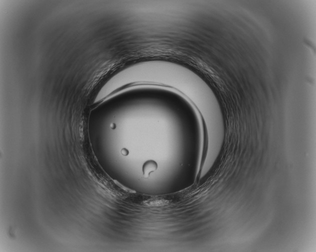 X0000096640452200802191223