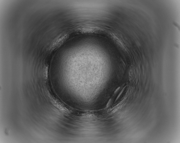 X0000096640454200802191223