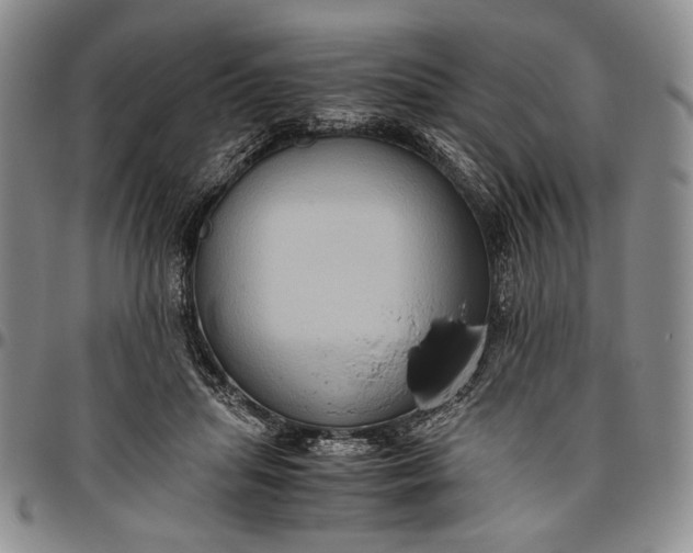 X0000096640455200802191223