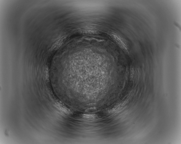 X0000096640457200802191223