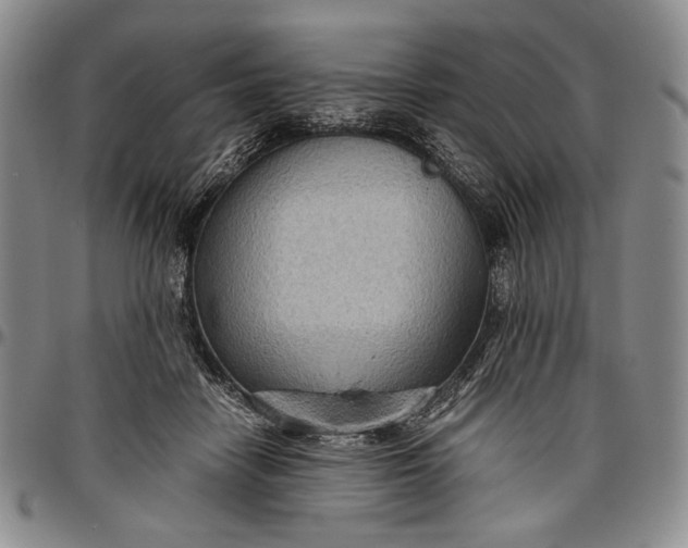 X0000096640458200802191224