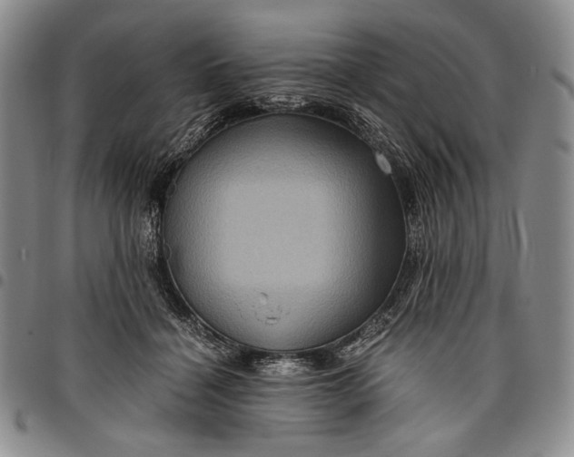 X0000096640460200802191224