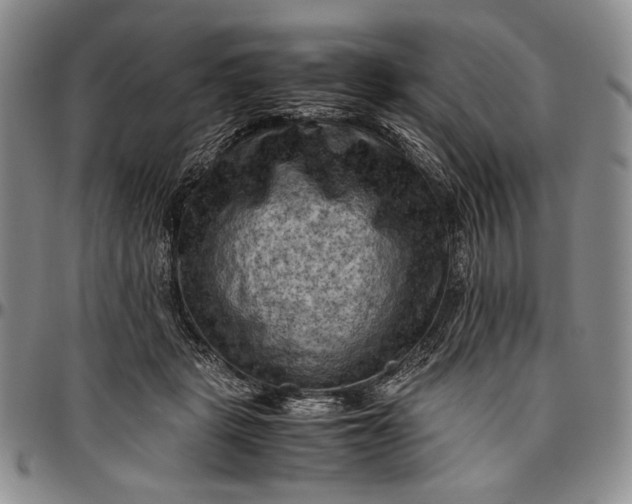 X0000096640461200802191224