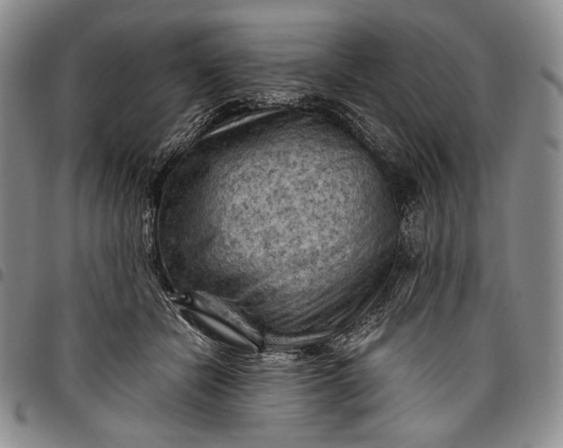 X0000096640462200802191224