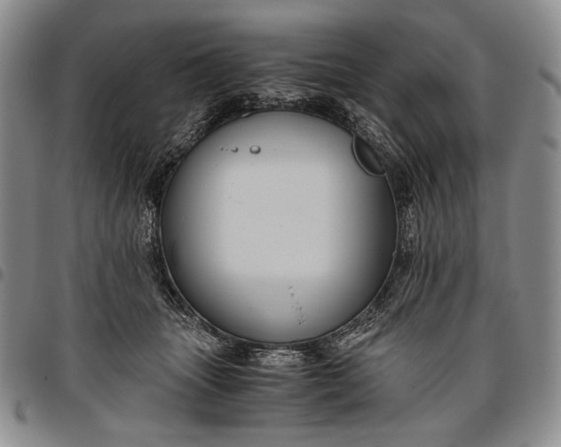 X0000096640463200802191224