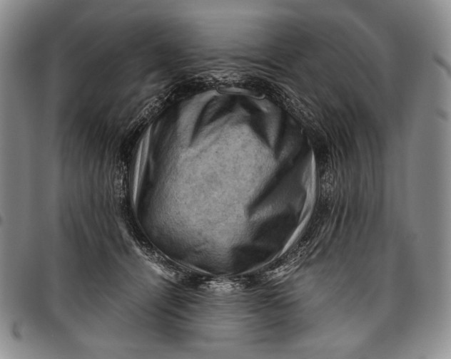 X0000096640464200802191224