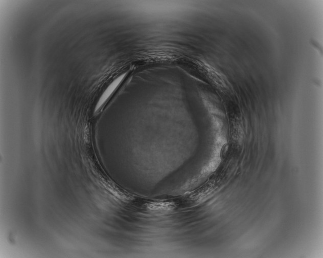 X0000096640465200802191224