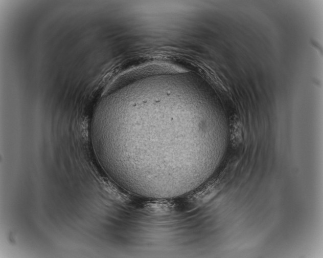 X0000096640466200802191224