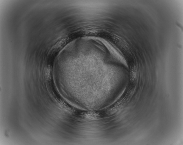 X0000096640468200802191224