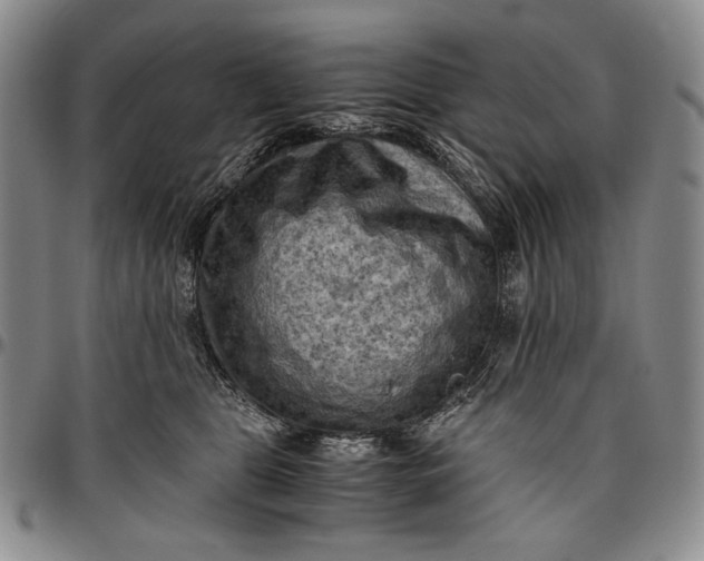 X0000096640469200802191224