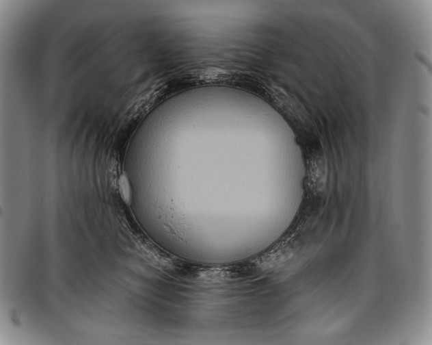 X0000096640470200802191224