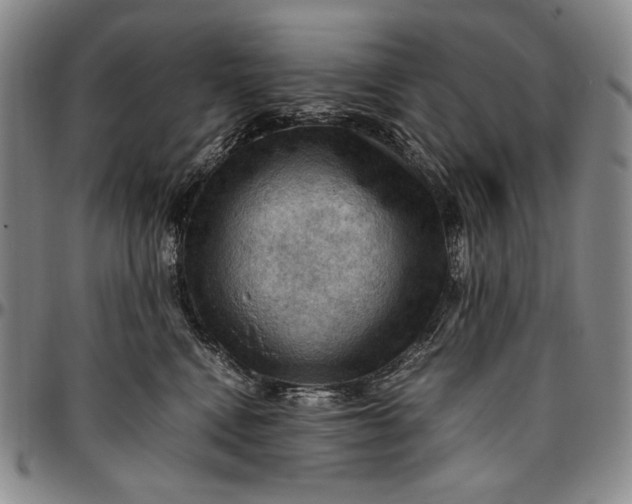 X0000096640472200802191224